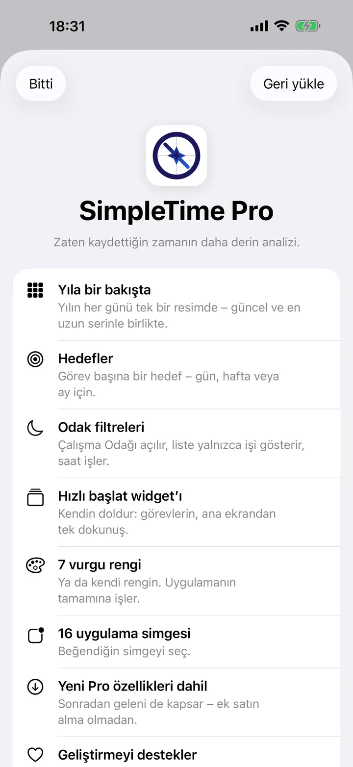 Uygulamadaki SimpleTime Pro sayfası